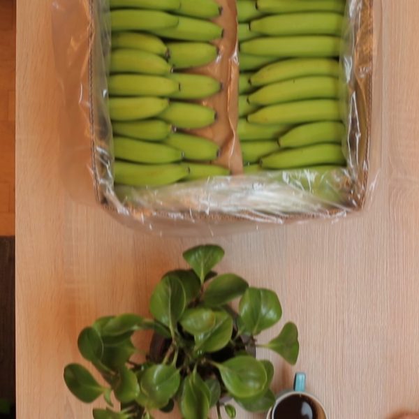 Werbespot Fairtrade Karlsruhe