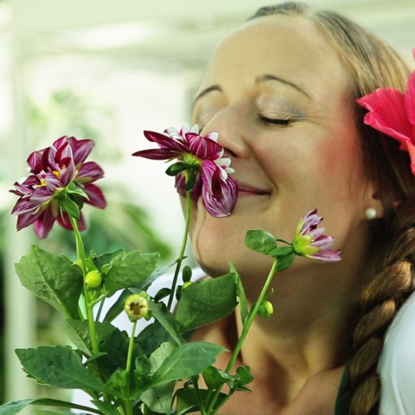 Cargoline – Gegensatzpaare Blumen Werbespot Gegensatzpaare