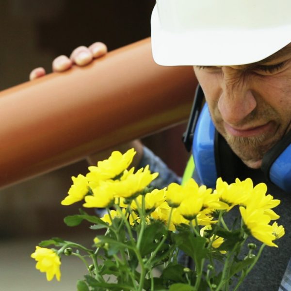 Cargoline – Gegensatzpaare Blumen Werbespot Gegensatzpaare