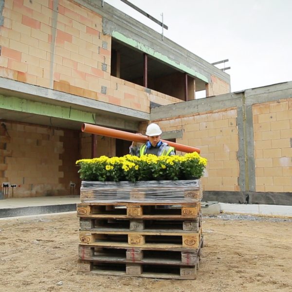 Cargoline – Gegensatzpaare Blumen Werbespot Gegensatzpaare