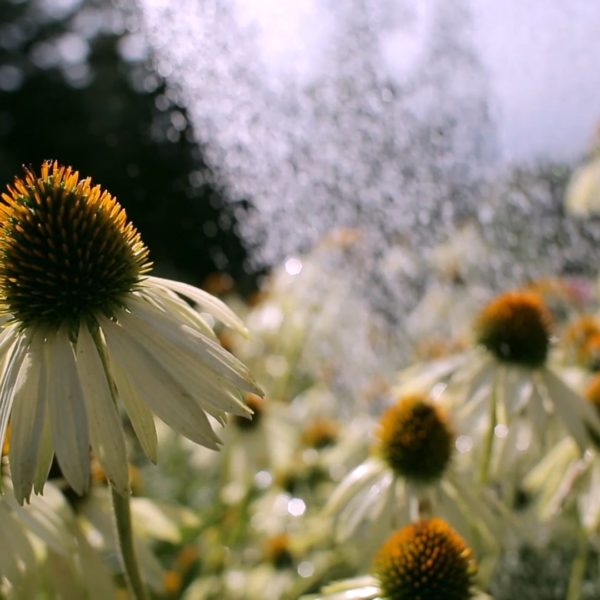 Geka Produktfilm Produktfilm Geka Schlauchstecksystem