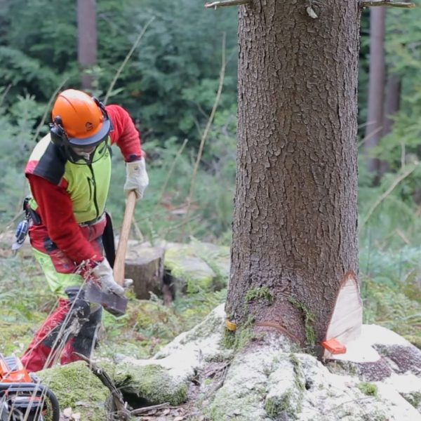 Landratsamt Ausbildungsvideos Ausbildungsvideos & Recruitingfilme