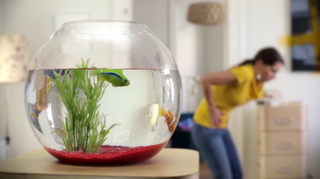 Kinospot "Fische" - Rechtsanwalt Schrey