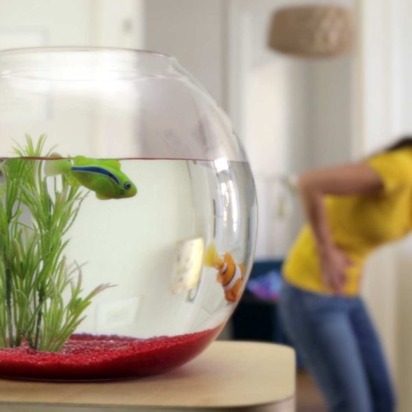 Kinospot „Fische“  – Rechtsanwalt Schrey Kinospot "Fische" - Rechtsanwalt Schrey