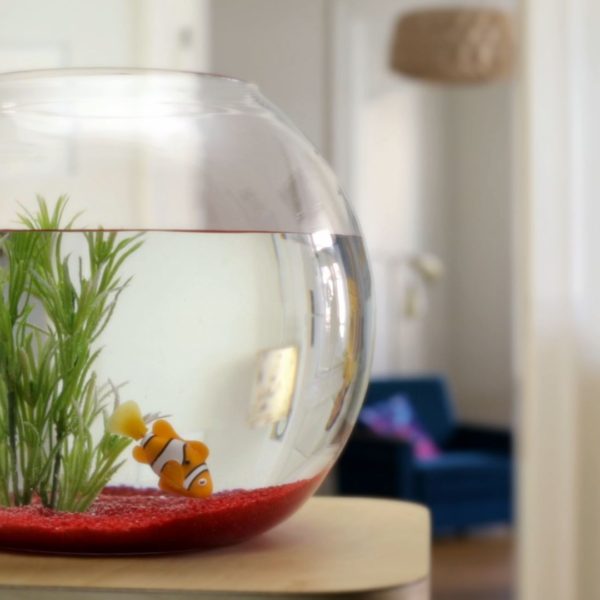 Kinospot „Fische“  – Rechtsanwalt Schrey Kinospot "Fische" - Rechtsanwalt Schrey