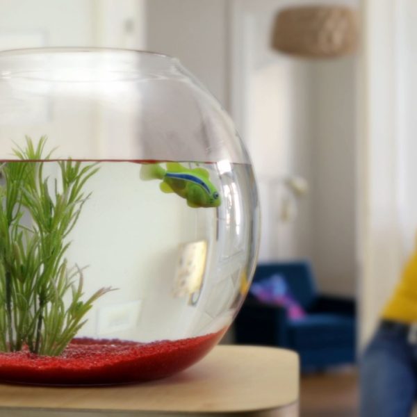 Kinospot „Fische“  – Rechtsanwalt Schrey Kinospot "Fische" - Rechtsanwalt Schrey