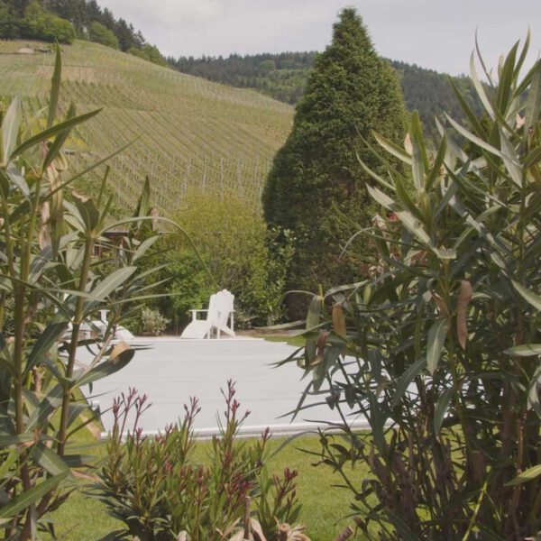 Rollschutz-Multiversal_snapshot_00.10_[2023.09.22_14.57